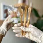 تشویقی سگ تاندون آدامسی گاو