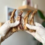 تشویقی سگ فینگر شترمرغ