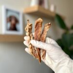 تشویقی سگ و گربه سینه مرغ نواری