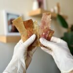 تشویقی سگ چیپس آئورت