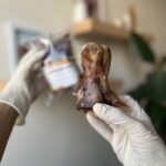 تشویقی سگ قلمچه شترمرغ