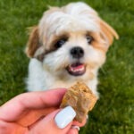 تشویقی سگ و گربه جگرسفید پفکی گاو