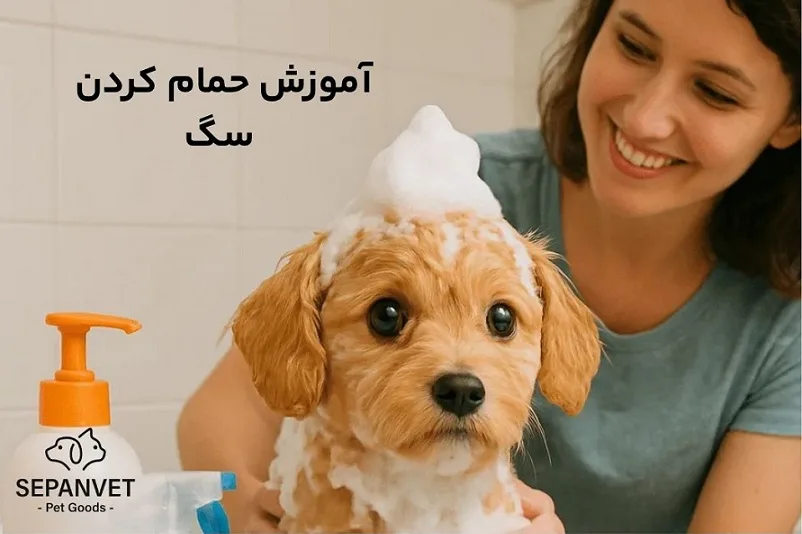 آموزش حمام کردن سگ