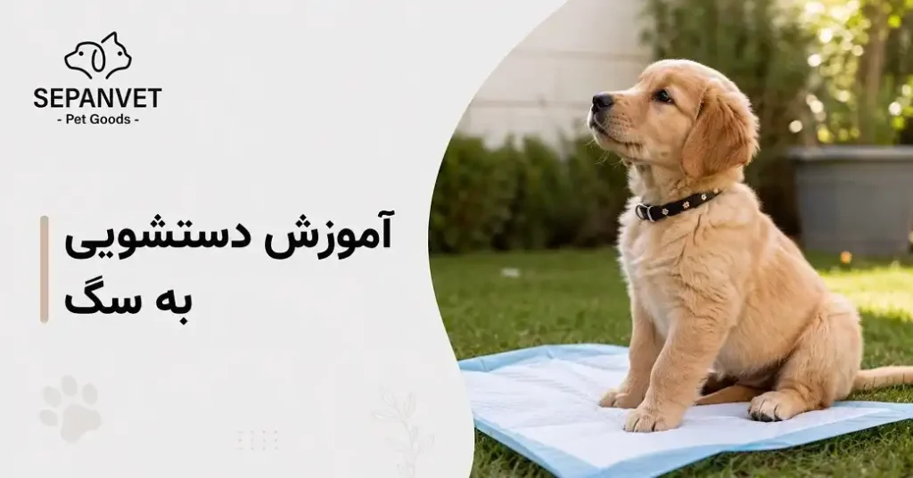 آموزش دستشویی سگ