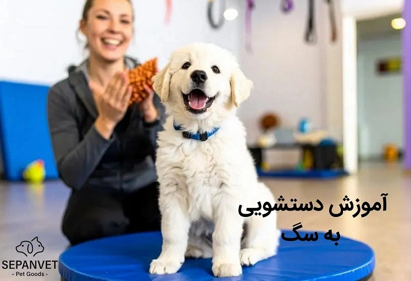 آموزش دستشویی به شگ