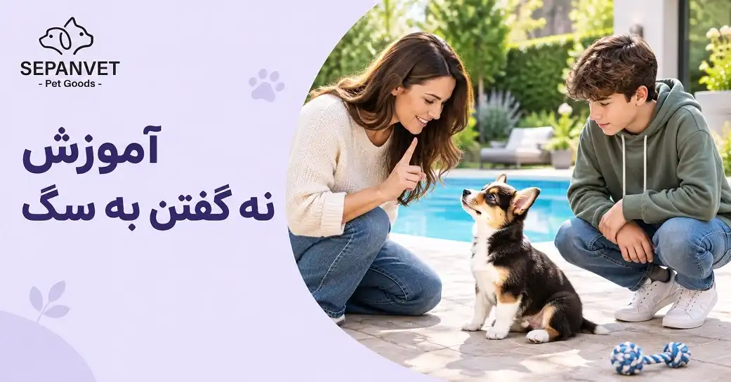 آموزش نه گفتن به سگ