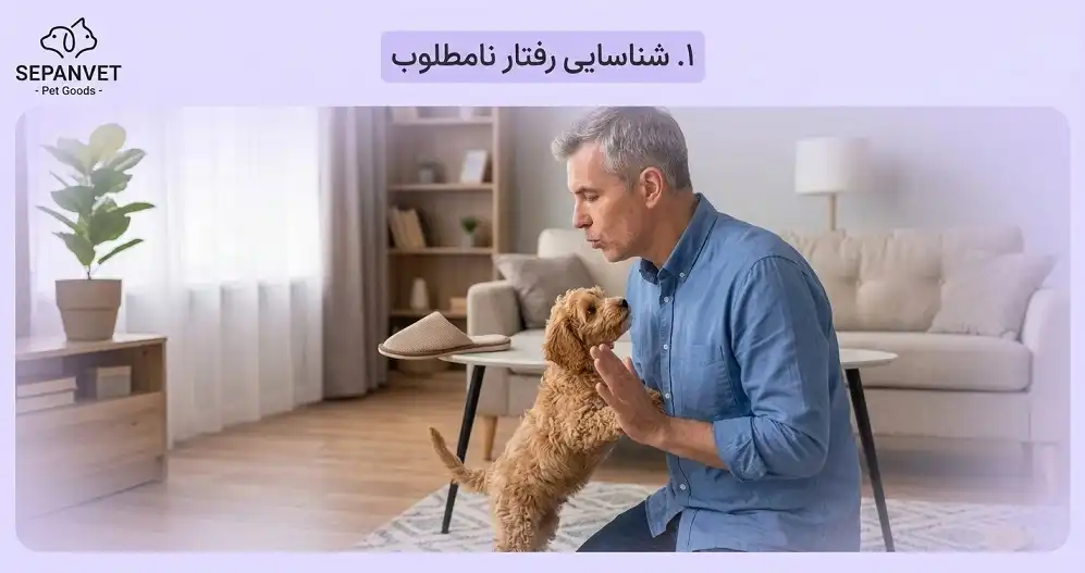 آموزش نه به سگ