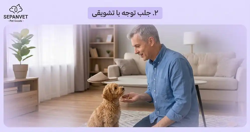 آموزش فرمان نه به سگ