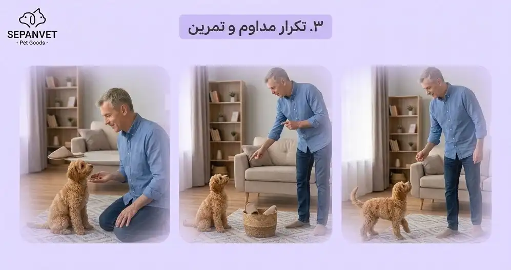 آموشز تربیت نه به سگ 