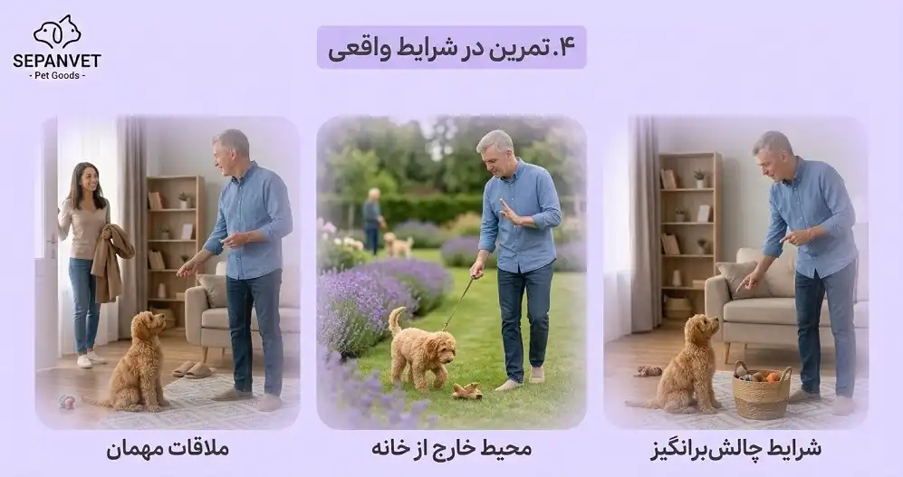 نه گفتن به سگ