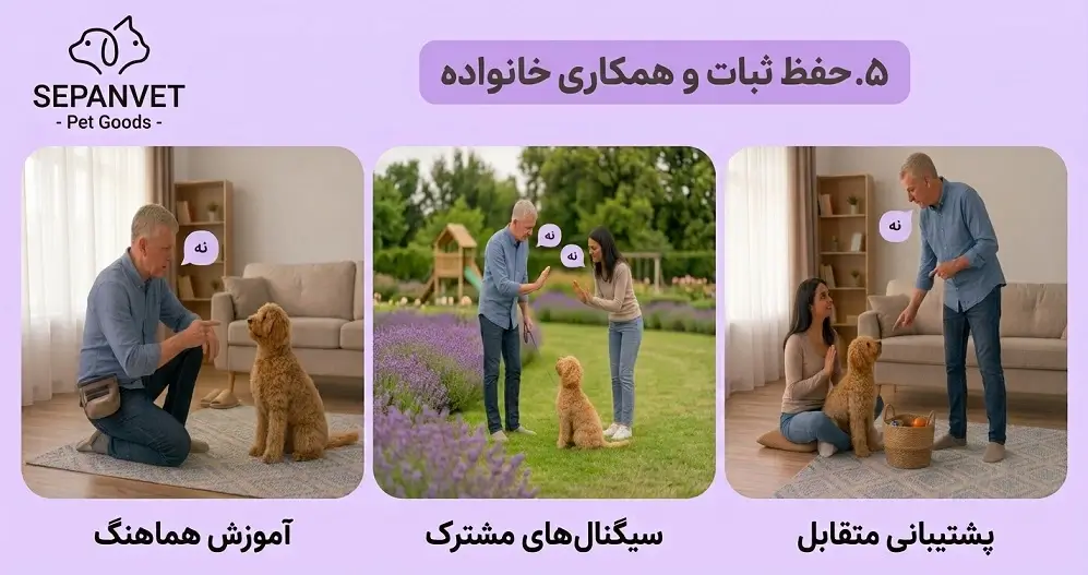 تربیت نه گفتن به سگ 