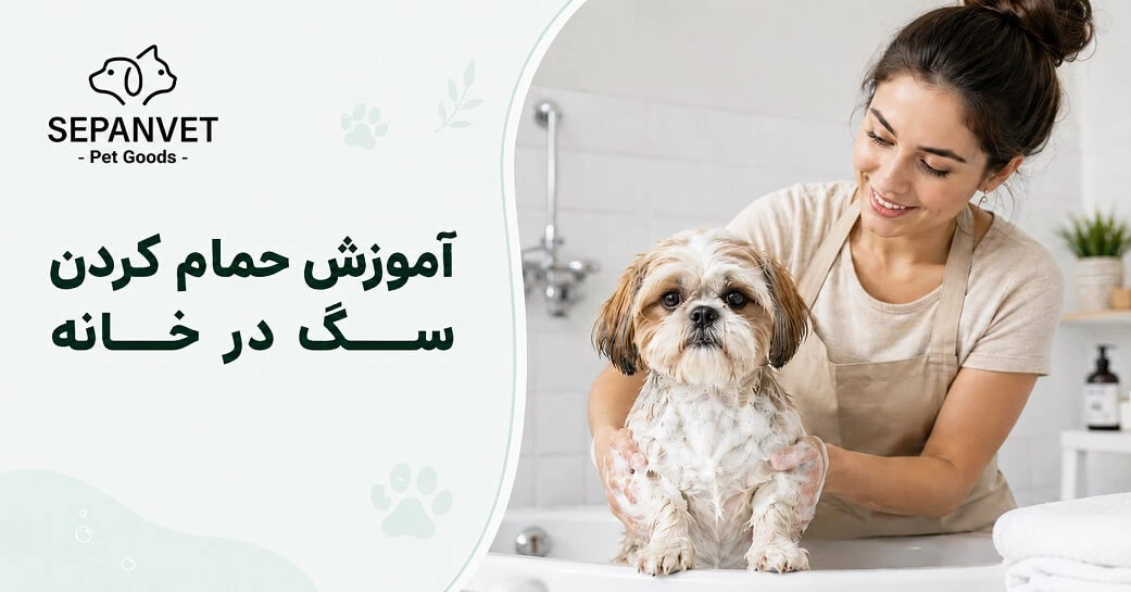 آموزش شستن و حمام سگ