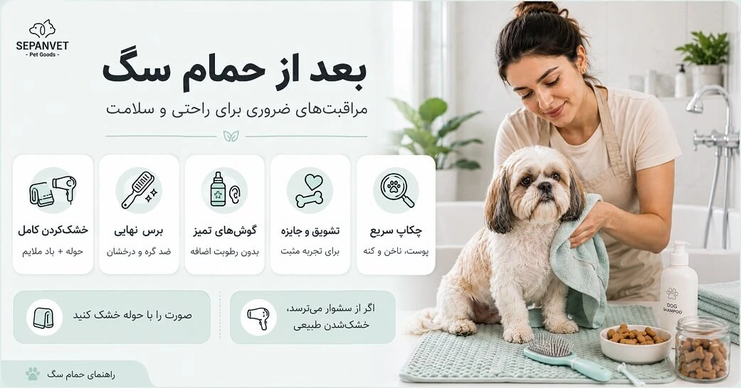 اقدامات بعد از حمام و شستن سگ