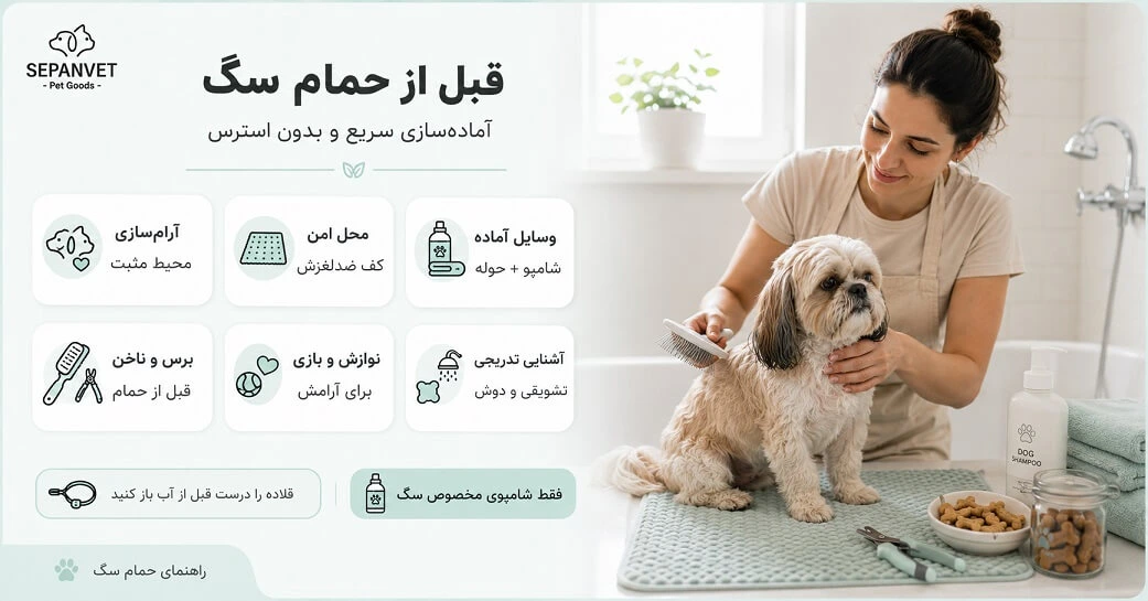 اقدامات قبل از حمام سگ