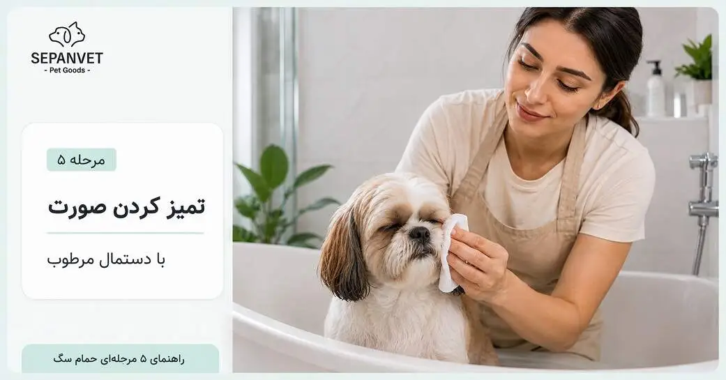 شستشوی صورت و سر سگ با دستمال مرطوب