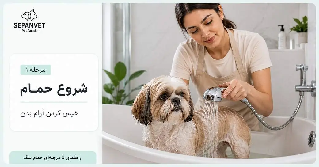 آموزش تصویری شستن سگ