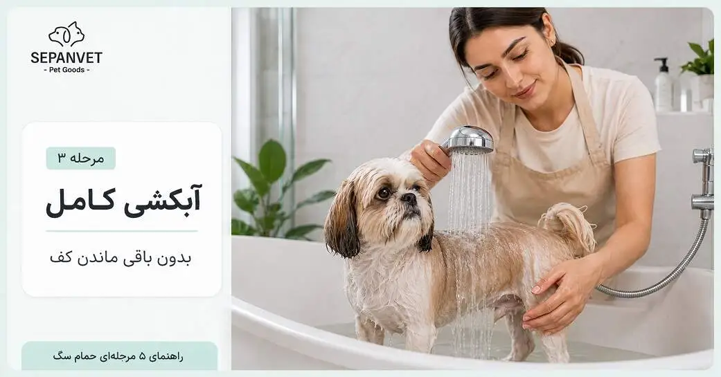 آبکشی کامل شامپو از بدن سگ