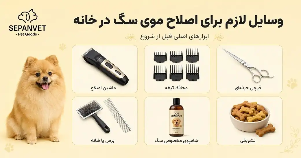 ابزار لازم برای اصلاح موی سگ