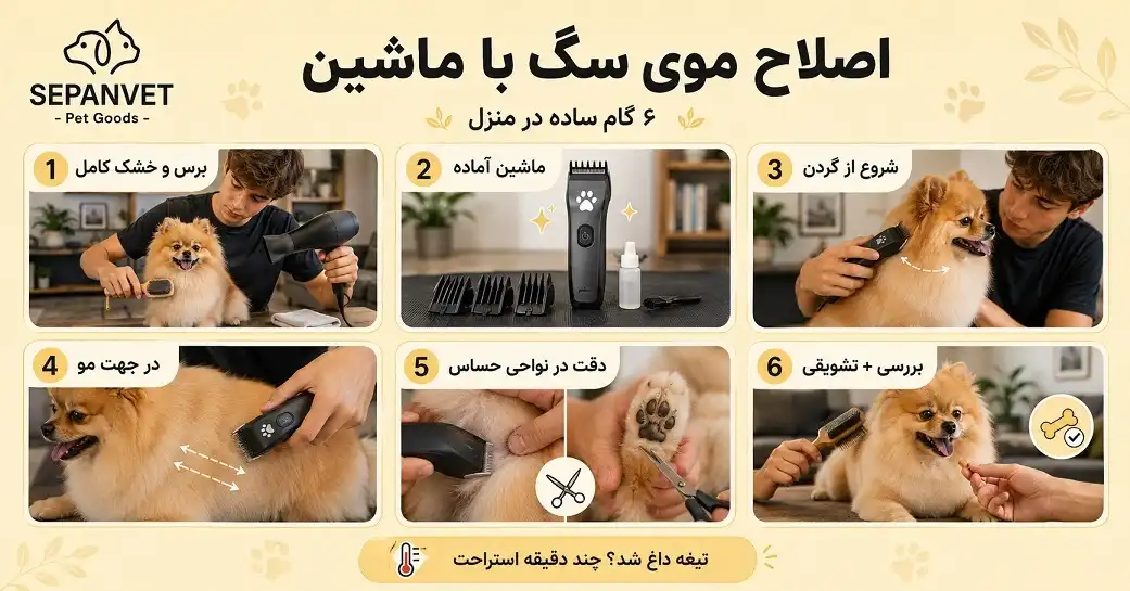 آموزش اصلاح موی سگ با ماشین