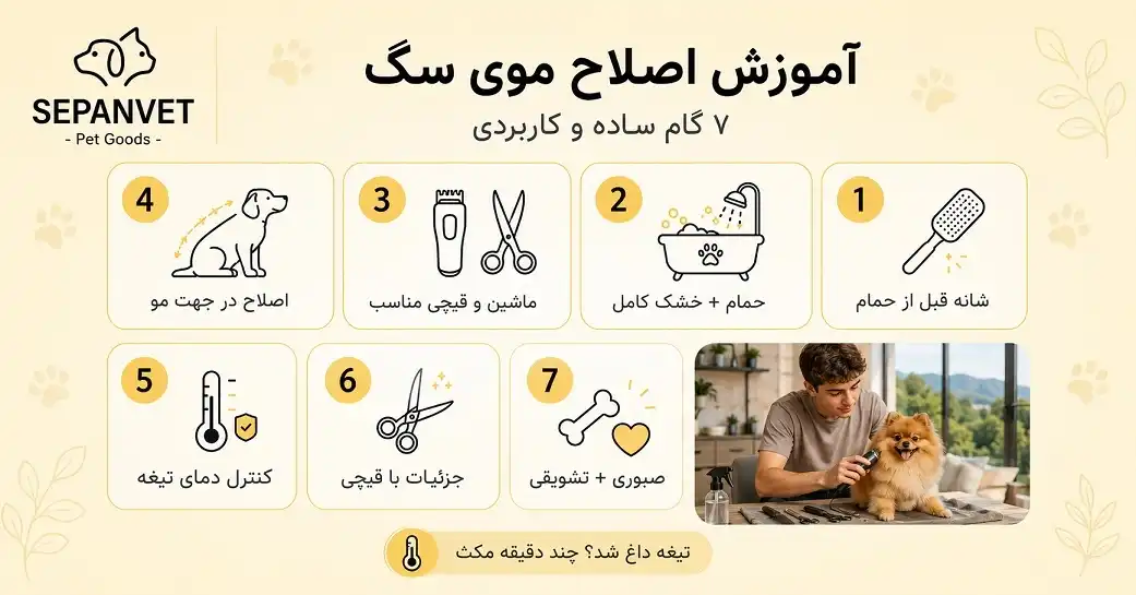 اصلاح موی سگ در منزل