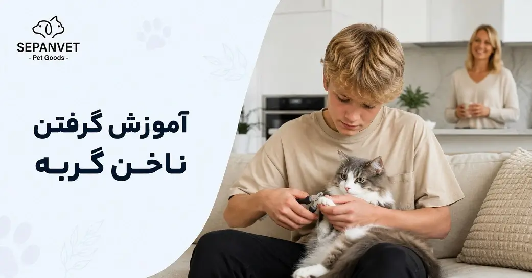 گرفتن ناخن گربه