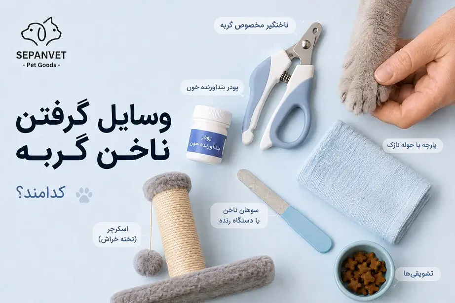 وسایل گرفتن ناخن گربه