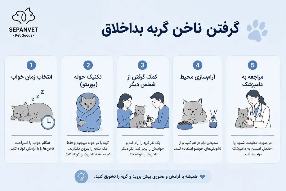 گرفتن ناخن گربه بداخلاق