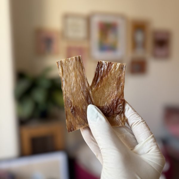 تشویقی سگ چیپس شیردان گوساله