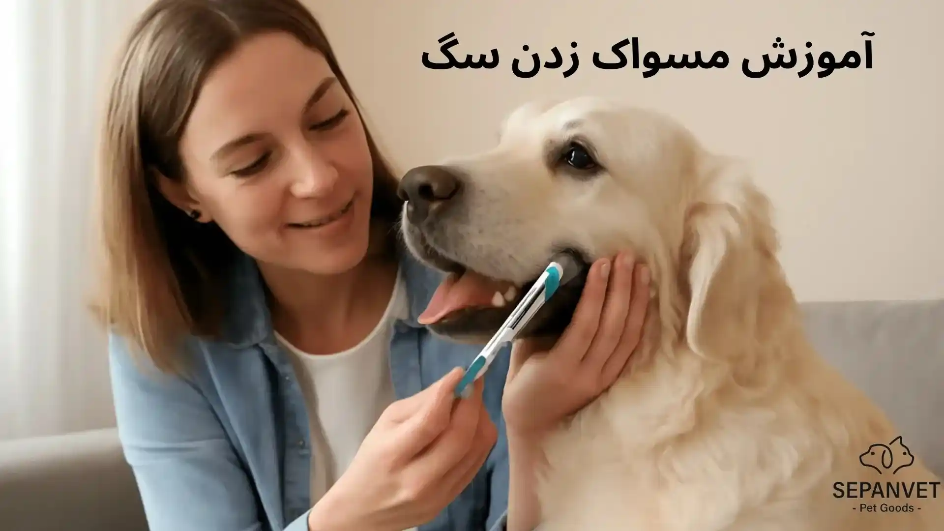 آموزش مسواک زدن سگ