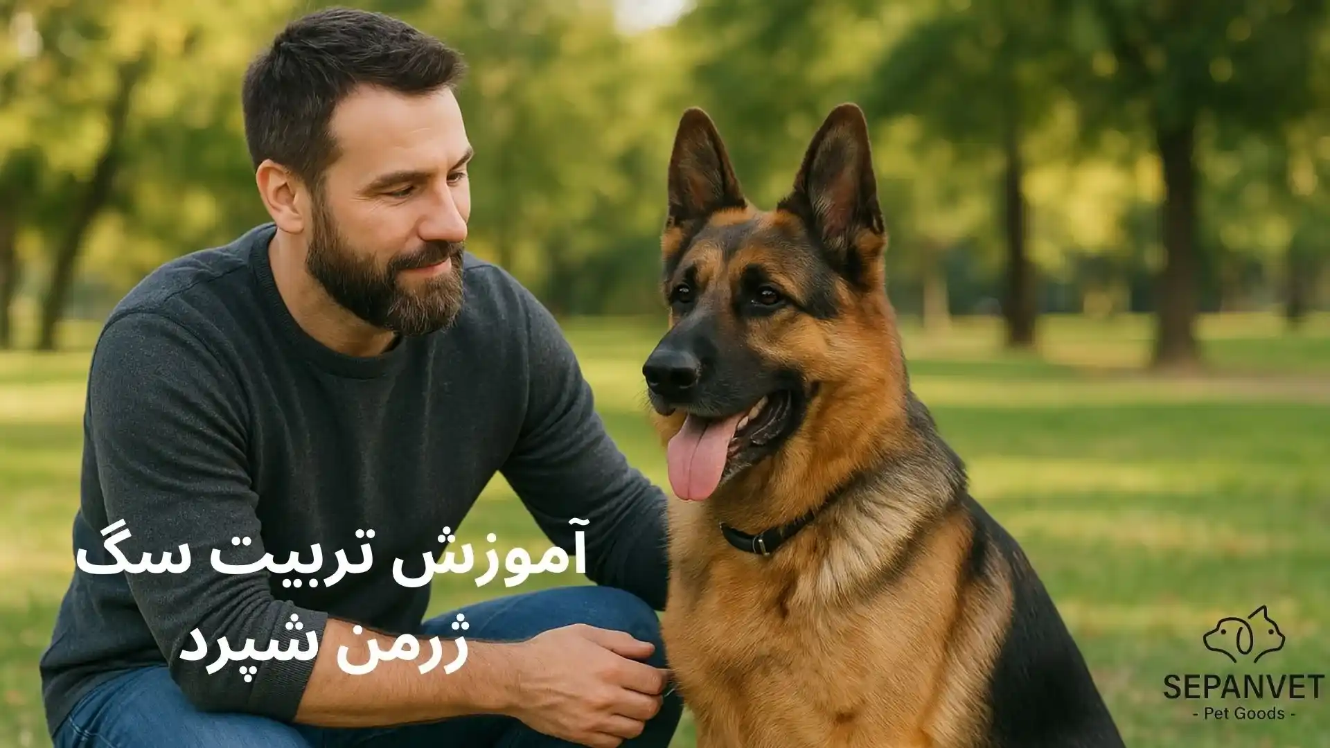 آموزش سگ ژرمن شپرد
