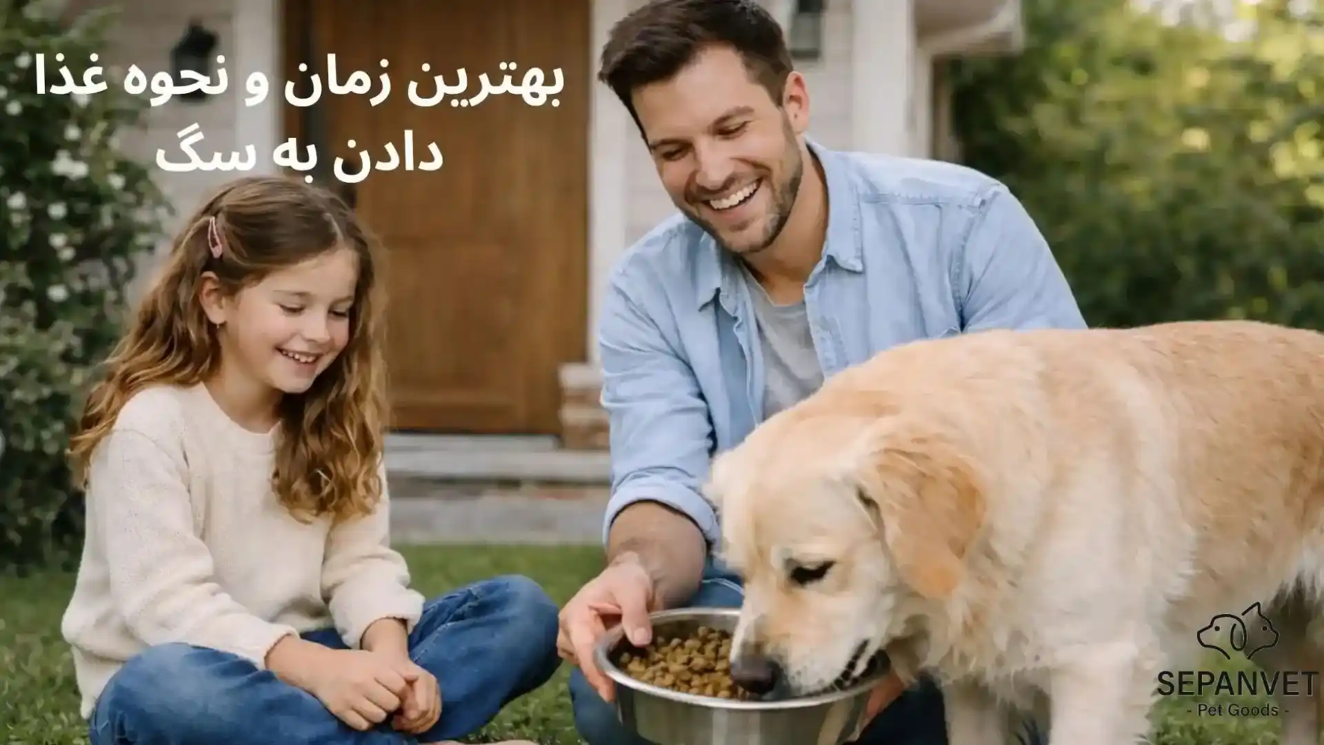 بهترین زمان غذا دادن به سگ