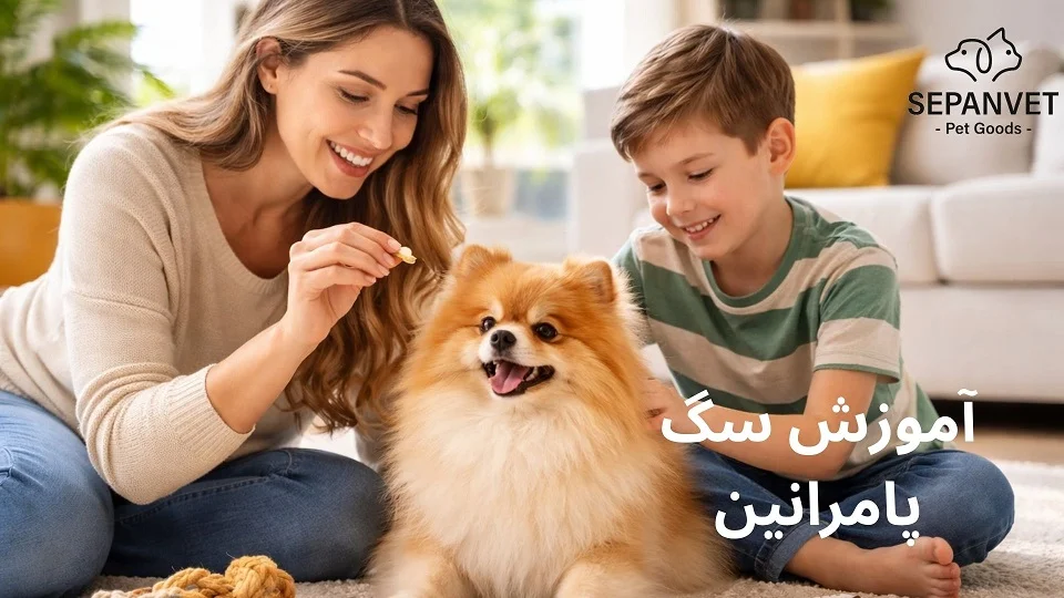 آموزش سگ پامرانین