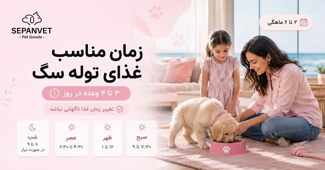 بهترین زمان غذا دادن به توله سگ