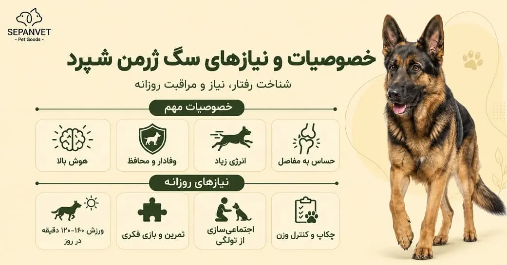 خصوصیات و نیازهای سگ ژرمن شپرد