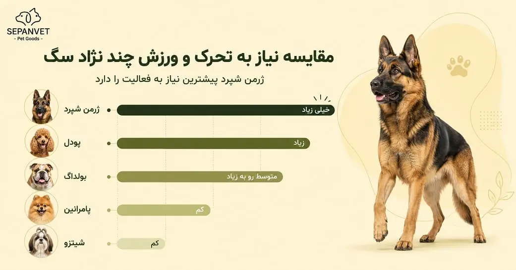 مقایسه نیاز به تحرک سگ ژرمن با سایر نژادها
