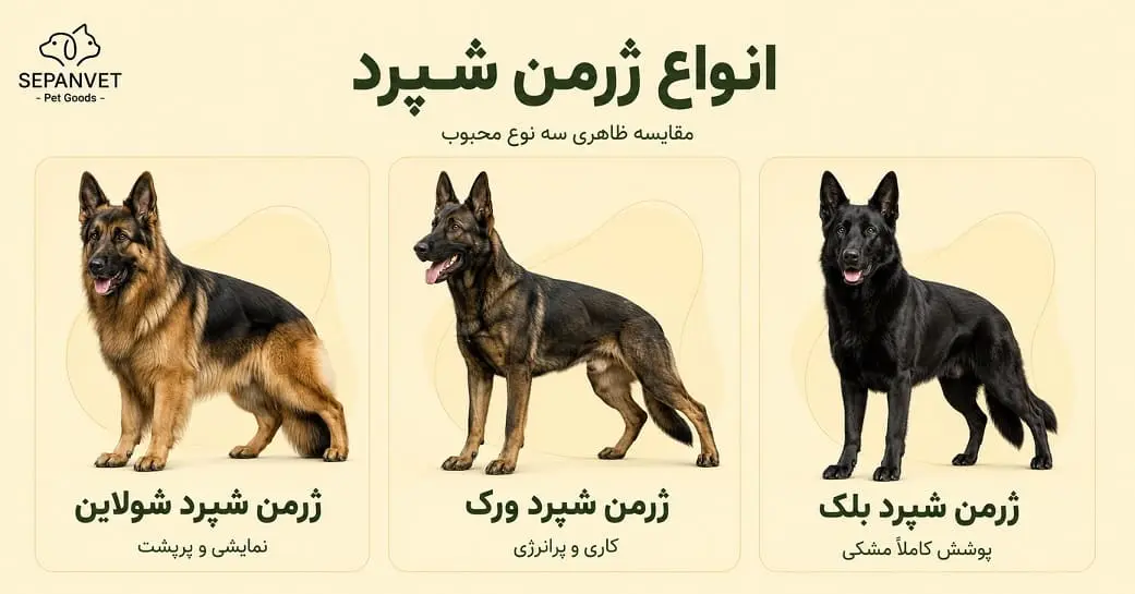 انواع سگ ژرمن شپرد