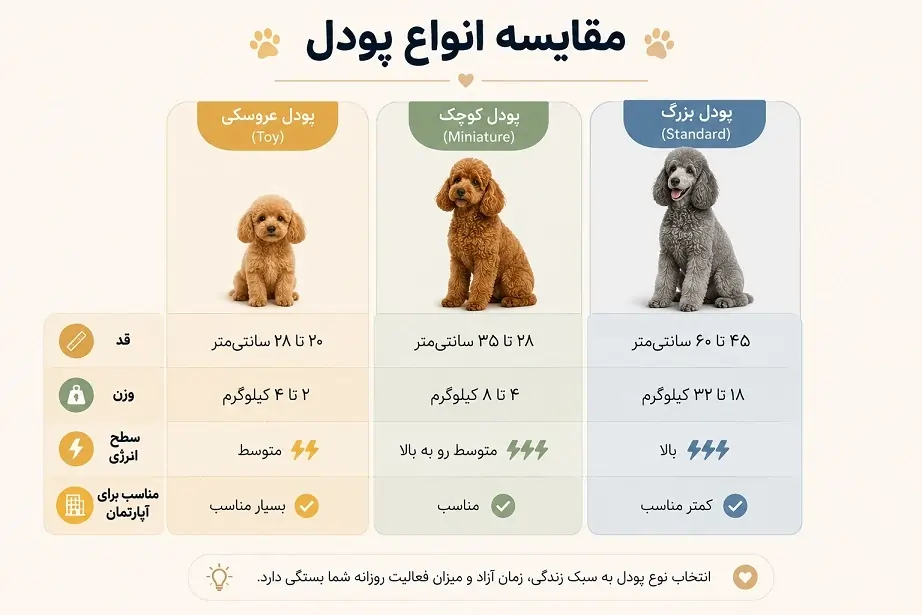 مقایسه انواع پودل