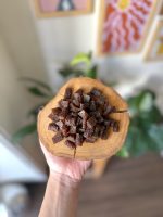 تشویقی سگ و گربه نگینی گوشت و جعفری