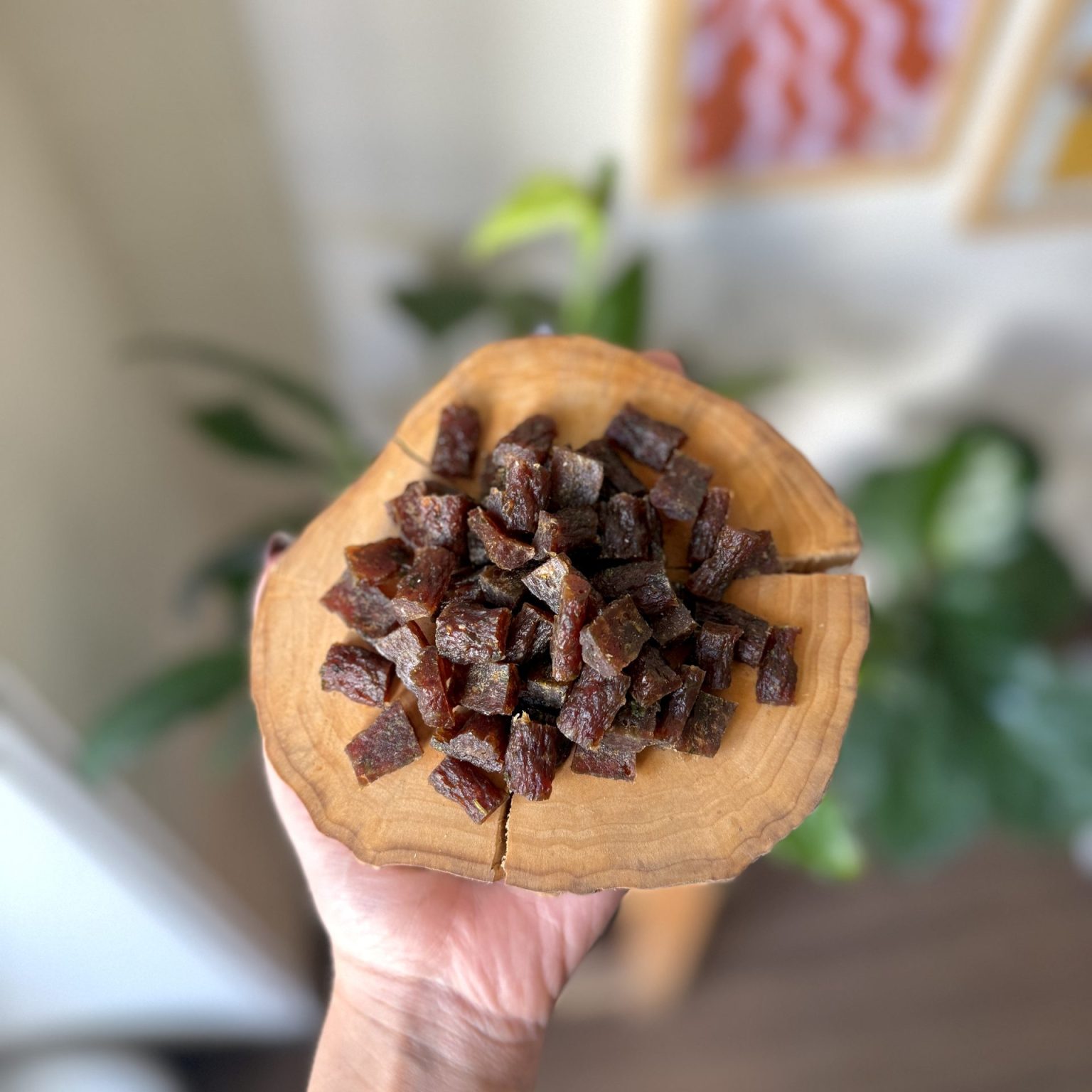 تشویقی سگ و گربه نگینی گوشت و جعفری