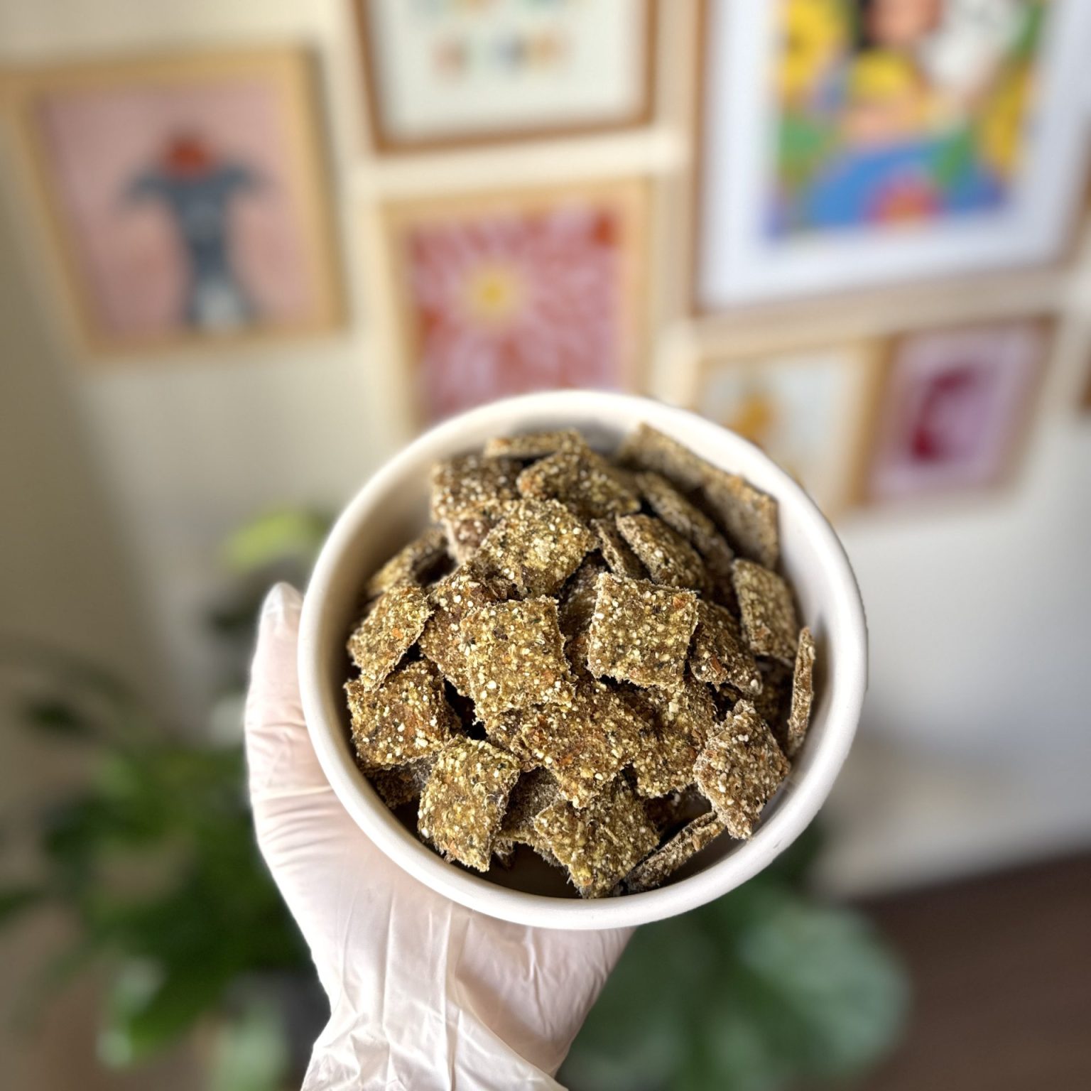 بیسکویت سگ و گربه با طعم سیرابی و سبزیجات