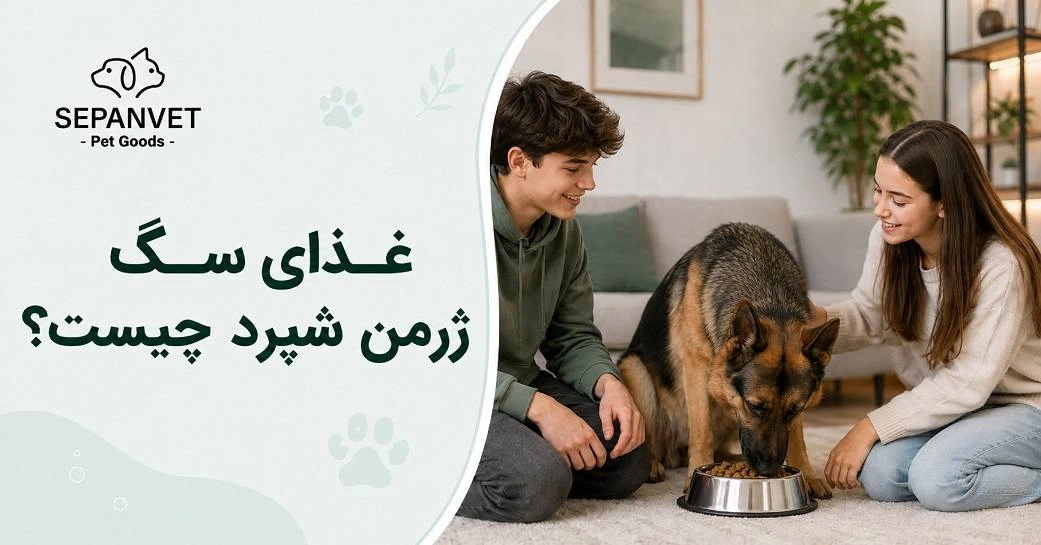 غذای سگ ژرمن شپرد چیست؟