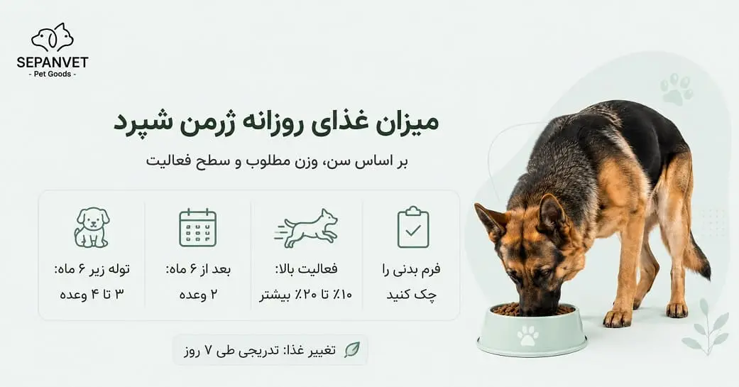 میزان غذای روزانه سگ ژرمن شپرد