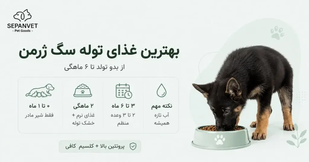 بهترین غذای توله سگ ژرمن