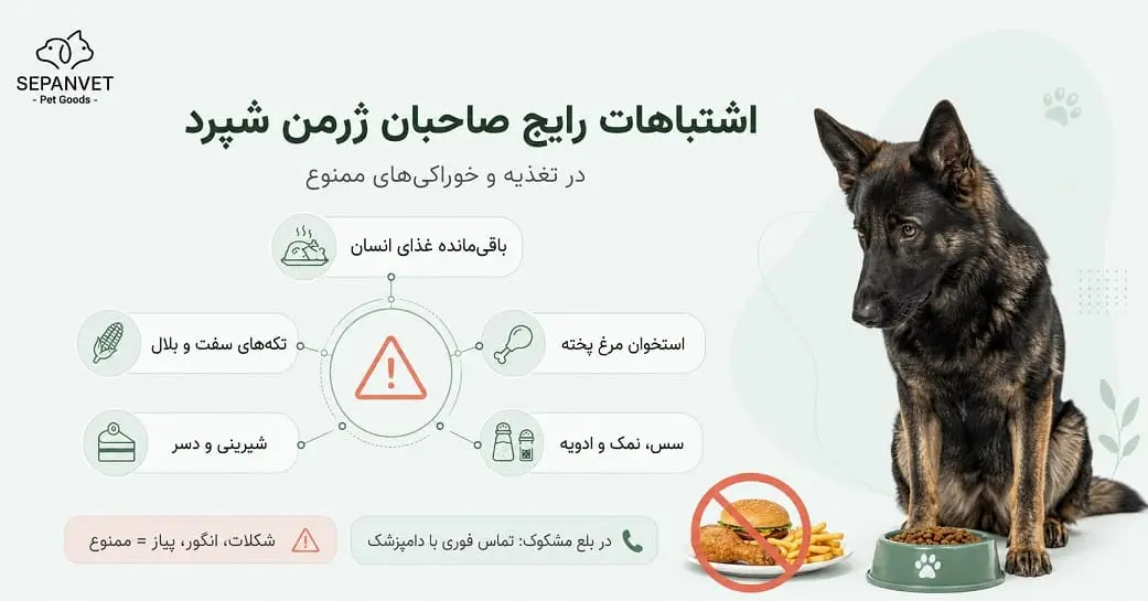 اشتباهات رایج صاحبان ژرمن در تغذیه این سگ