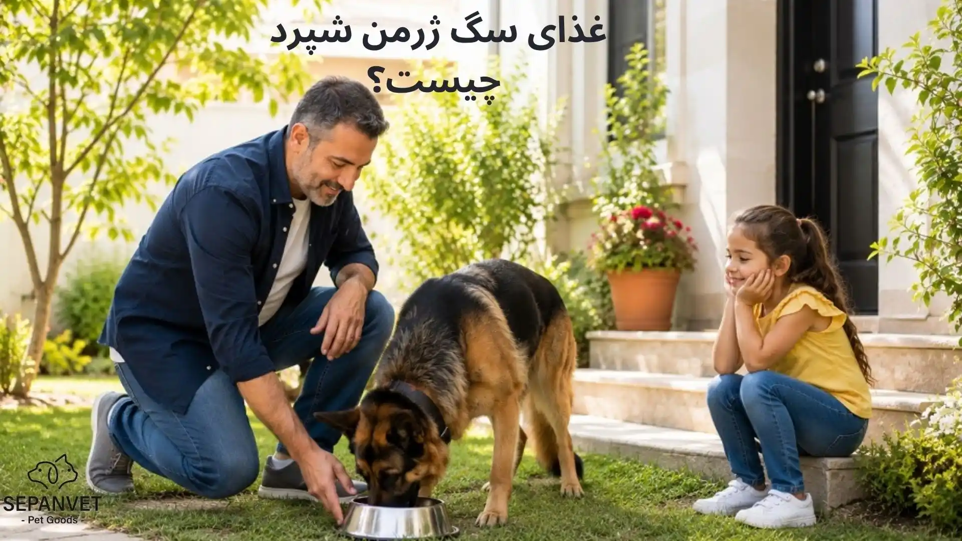 غذای سگ ژرمن شپرد