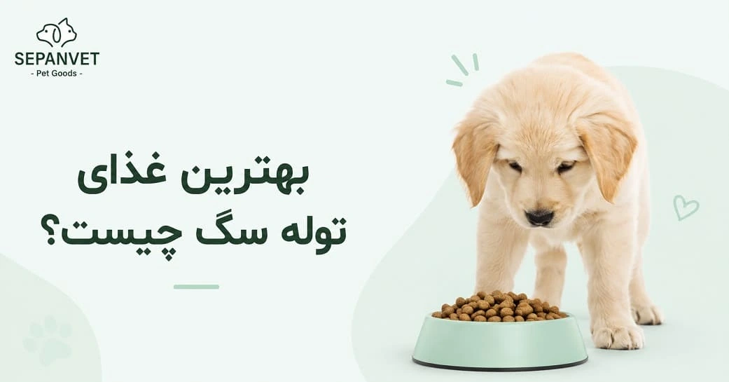 غذایتوله سگ ۲۰ روزه و ۴۰ روزه