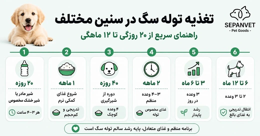 غذای توله سگ در سنین مختلف تولگی