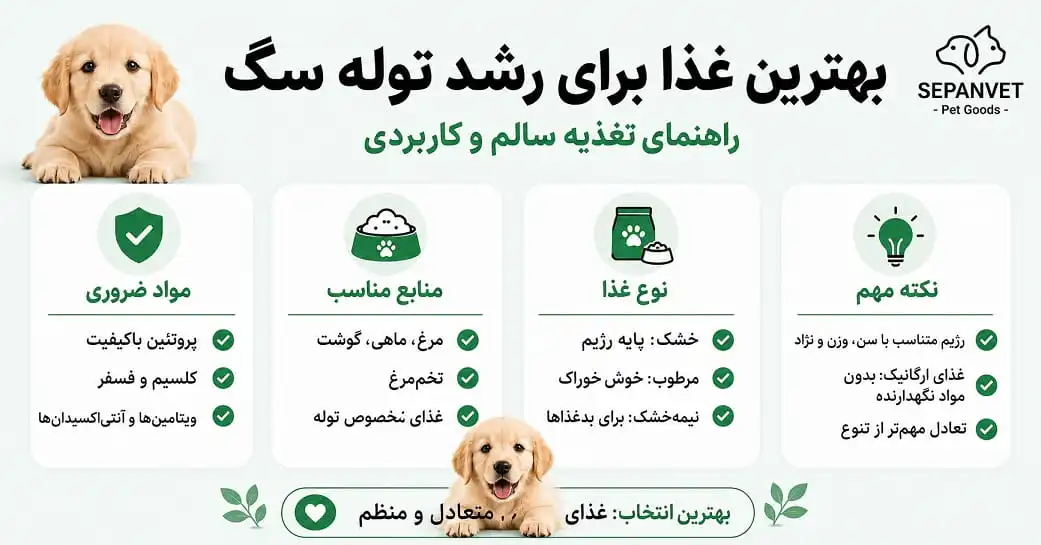 بهترین غذا برای رشد توله سگ