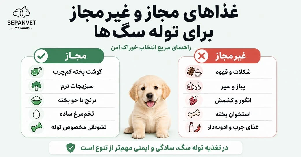 غذاهای مجاز و غیرمجاز برای توله سگ