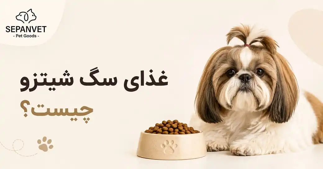 غذای سگ شیتزور چیست